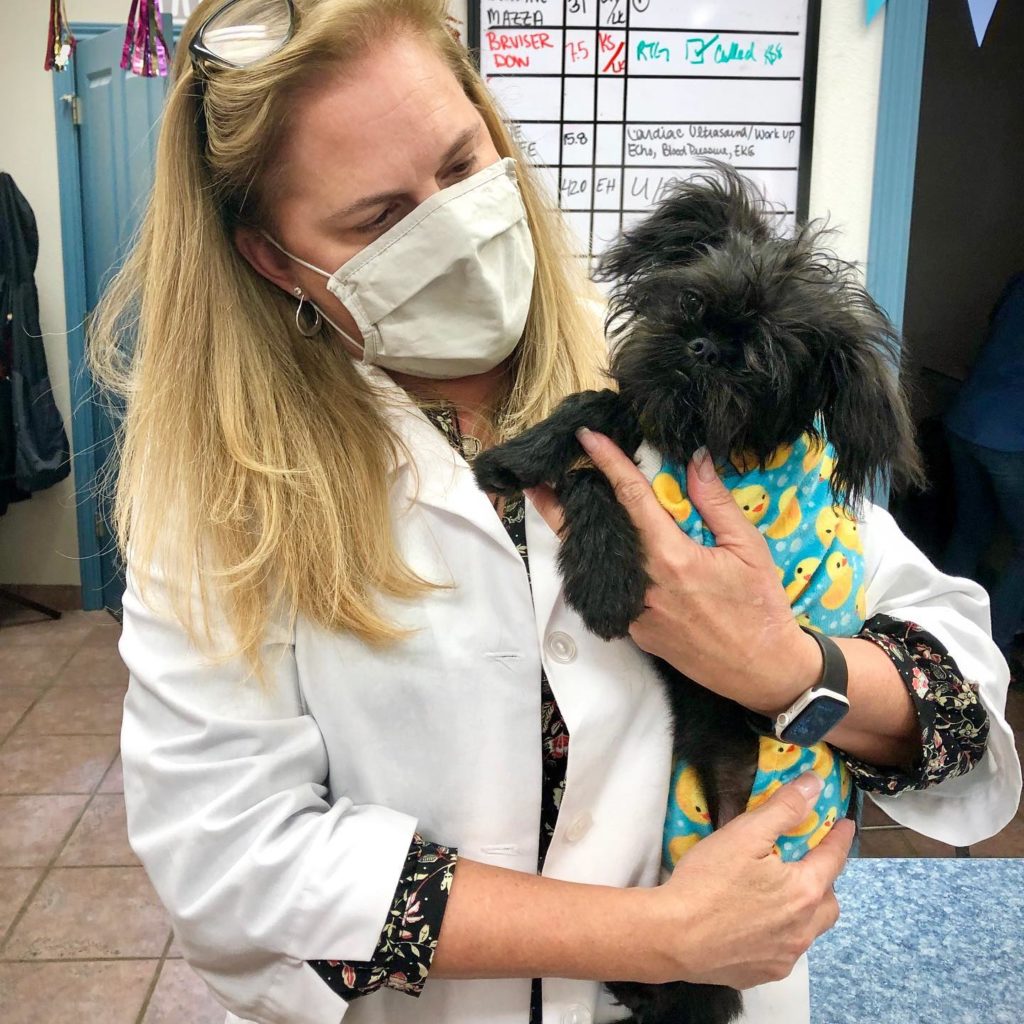 Veterinarian holding dog after pet visit